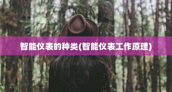 智能仪表的种类(智能仪表工作原理)