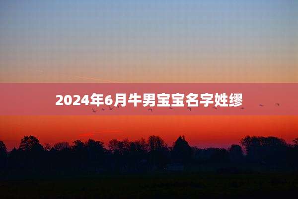 2024年6月牛男宝宝名字姓缪