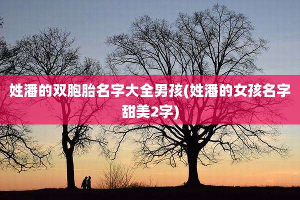姓潘的双胞胎名字大全男孩(姓潘的女孩名字甜美2字)