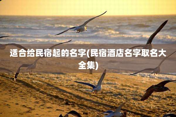 适合给民宿起的名字(民宿酒店名字取名大全集)