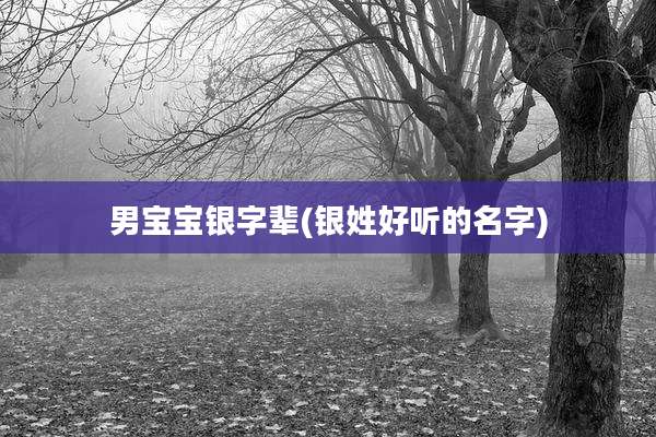 男宝宝银字辈(银姓好听的名字)