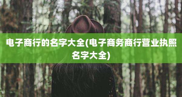 电子商行的名字大全(电子商务商行营业执照名字大全)