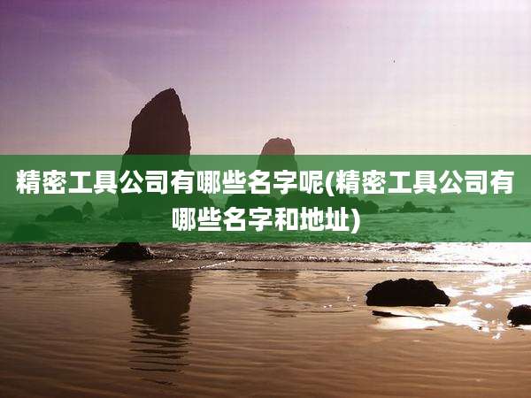 精密工具公司有哪些名字呢(精密工具公司有哪些名字和地址)