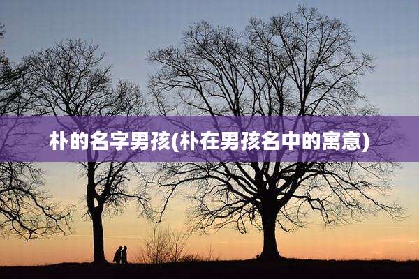 朴的名字男孩(朴在男孩名中的寓意)