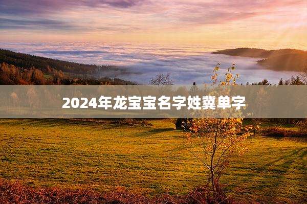 2024年龙宝宝名字姓冀单字