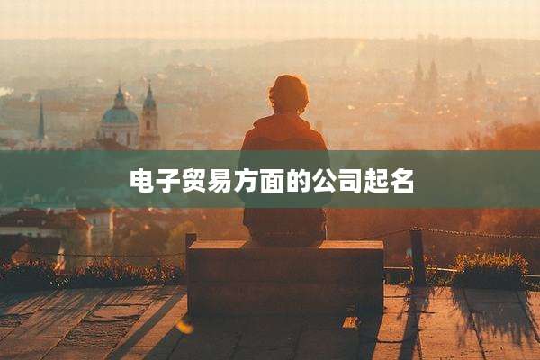 电子贸易方面的公司起名