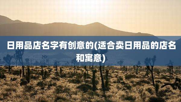日用品店名字有创意的(适合卖日用品的店名和寓意)