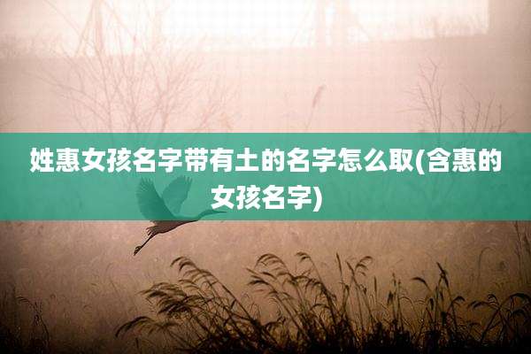 姓惠女孩名字带有土的名字怎么取(含惠的女孩名字)