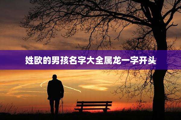 姓欧的男孩名字大全属龙一字开头