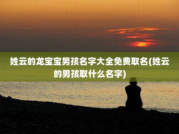 姓云的龙宝宝男孩名字大全免费取名(姓云的男孩取什么名字)