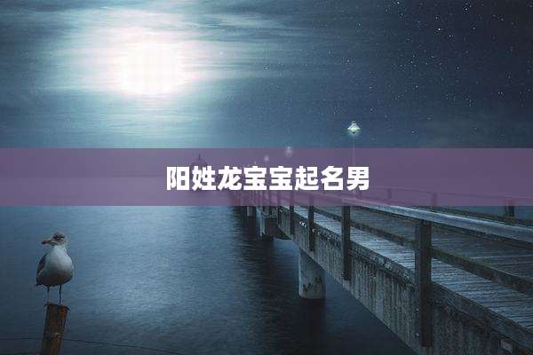 阳姓龙宝宝起名男