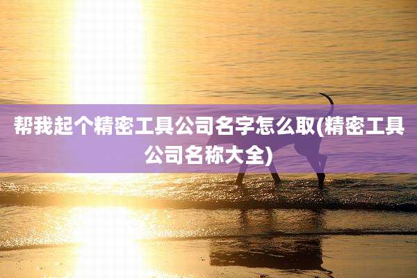 帮我起个精密工具公司名字怎么取(精密工具公司名称大全)
