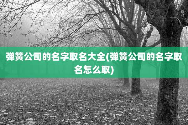 弹簧公司的名字取名大全(弹簧公司的名字取名怎么取)