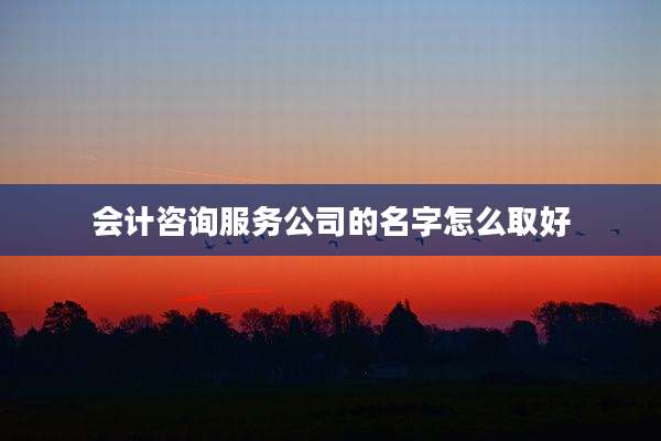 会计咨询服务公司的名字怎么取好