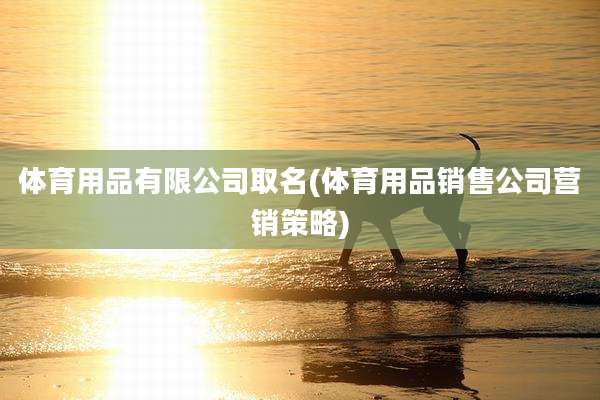 体育用品有限公司取名(体育用品销售公司营销策略)