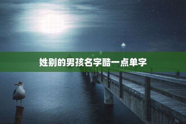 姓别的男孩名字酷一点单字