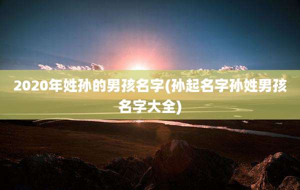 2020年姓孙的男孩名字(孙起名字孙姓男孩名字大全)