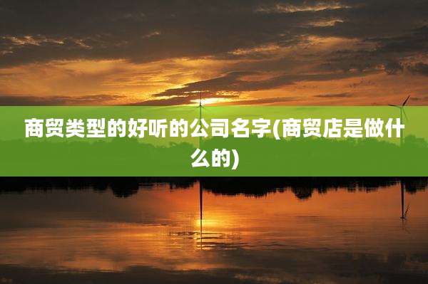 商贸类型的好听的公司名字(商贸店是做什么的)