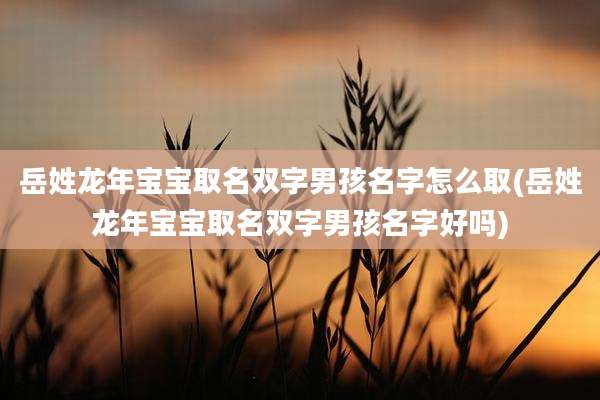 岳姓龙年宝宝取名双字男孩名字怎么取(岳姓龙年宝宝取名双字男孩名字好吗)
