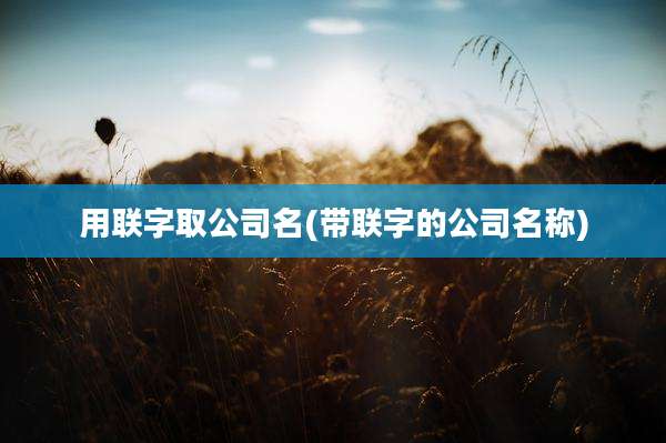 用联字取公司名(带联字的公司名称)