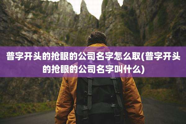 普字开头的抢眼的公司名字怎么取(普字开头的抢眼的公司名字叫什么)