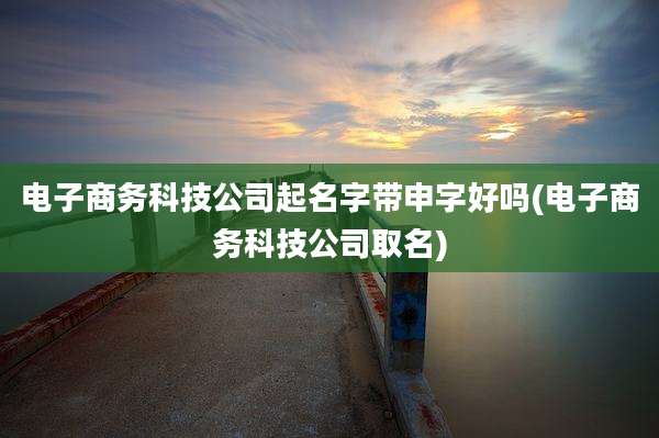 电子商务科技公司起名字带申字好吗(电子商务科技公司取名)