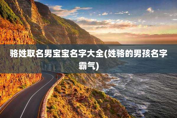 骆姓取名男宝宝名字大全(姓骆的男孩名字霸气)