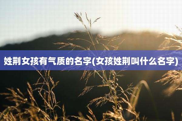 姓荆女孩有气质的名字(女孩姓荆叫什么名字)