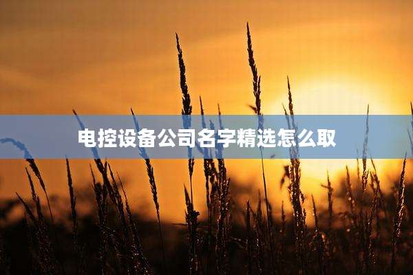 电控设备公司名字精选怎么取