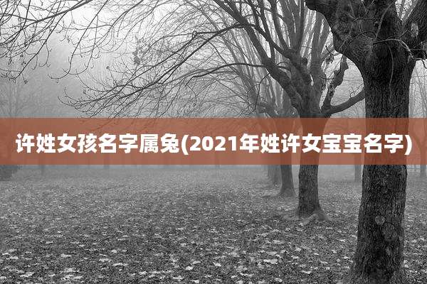 许姓女孩名字属兔(2021年姓许女宝宝名字)