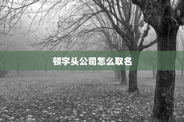 顿字头公司怎么取名