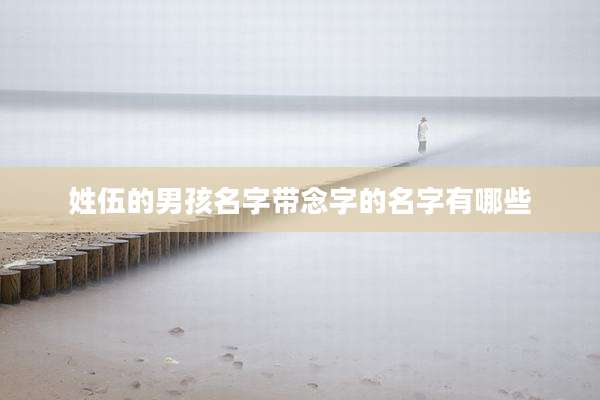 姓伍的男孩名字带念字的名字有哪些