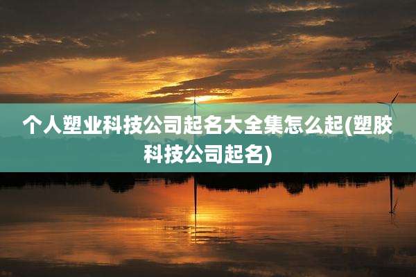 个人塑业科技公司起名大全集怎么起(塑胶科技公司起名)