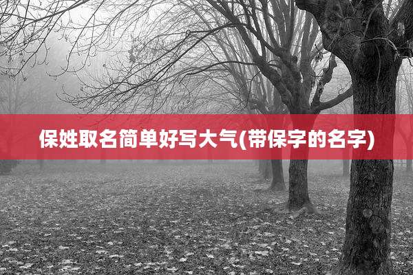 保姓取名简单好写大气(带保字的名字)