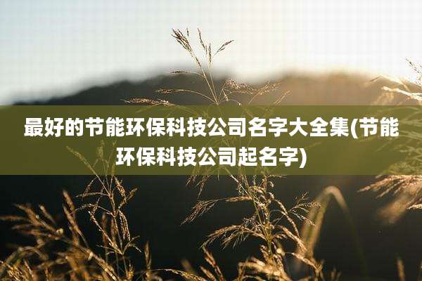 最好的节能环保科技公司名字大全集(节能环保科技公司起名字)