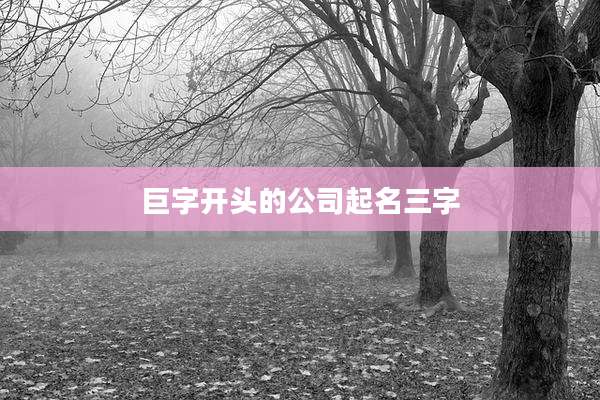 巨字开头的公司起名三字