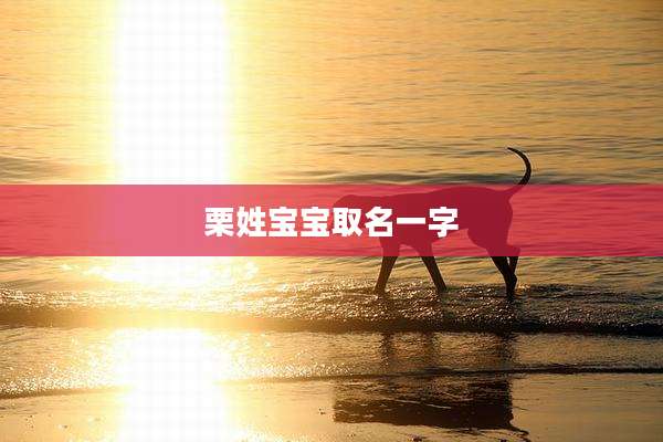 栗姓宝宝取名一字