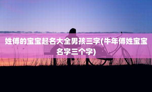 姓傅的宝宝起名大全男孩三字(牛年傅姓宝宝名字三个字)