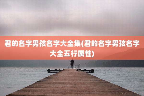 君的名字男孩名字大全集(君的名字男孩名字大全五行属性)