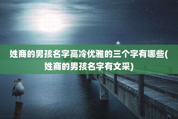 姓商的男孩名字高冷优雅的三个字有哪些(姓商的男孩名字有文采)