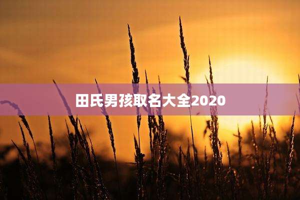 田氏男孩取名大全2020