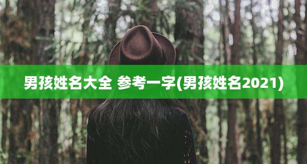 男孩姓名大全 参考一字(男孩姓名2021)