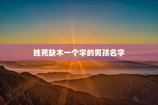 姓苑缺木一个字的男孩名字