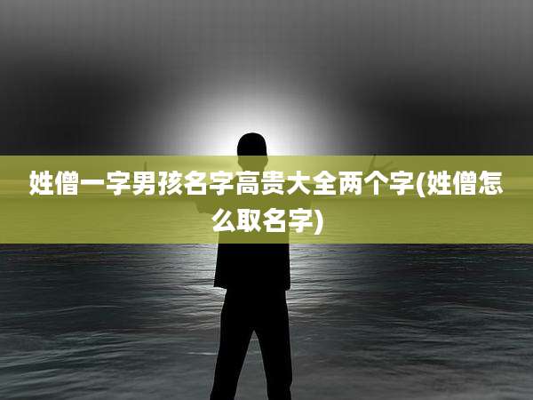 姓僧一字男孩名字高贵大全两个字(姓僧怎么取名字)