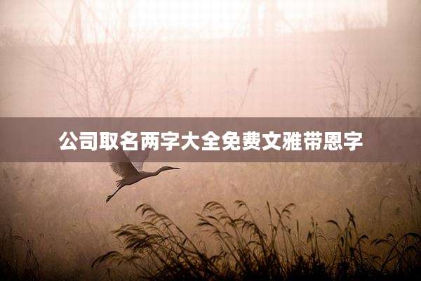 公司取名两字大全免费文雅带恩字