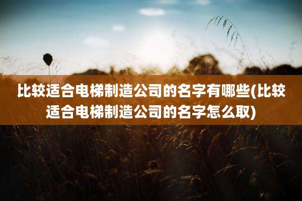 比较适合电梯制造公司的名字有哪些(比较适合电梯制造公司的名字怎么取)