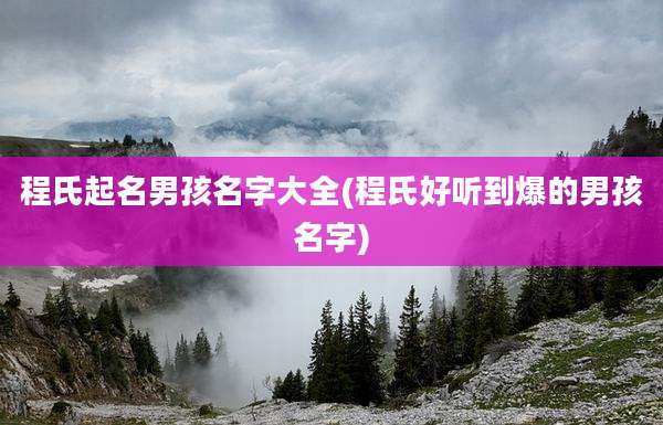 程氏起名男孩名字大全(程氏好听到爆的男孩名字)