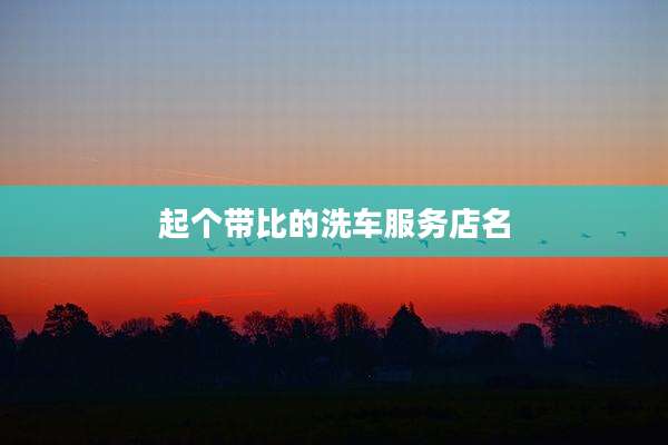 起个带比的洗车服务店名