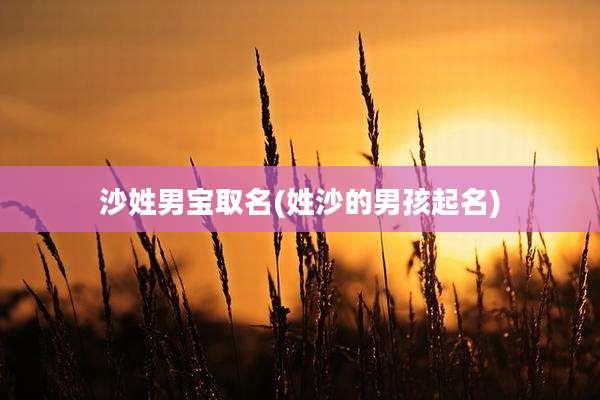 沙姓男宝取名(姓沙的男孩起名)