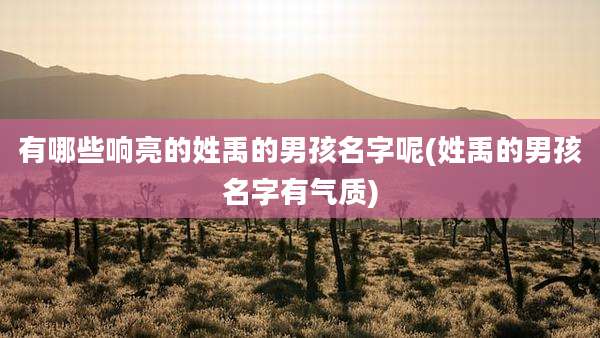 有哪些响亮的姓禹的男孩名字呢(姓禹的男孩名字有气质)